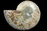 Bargain, Agatized Ammonite Fossil (Half) - Crystal Chambers #111540-1
